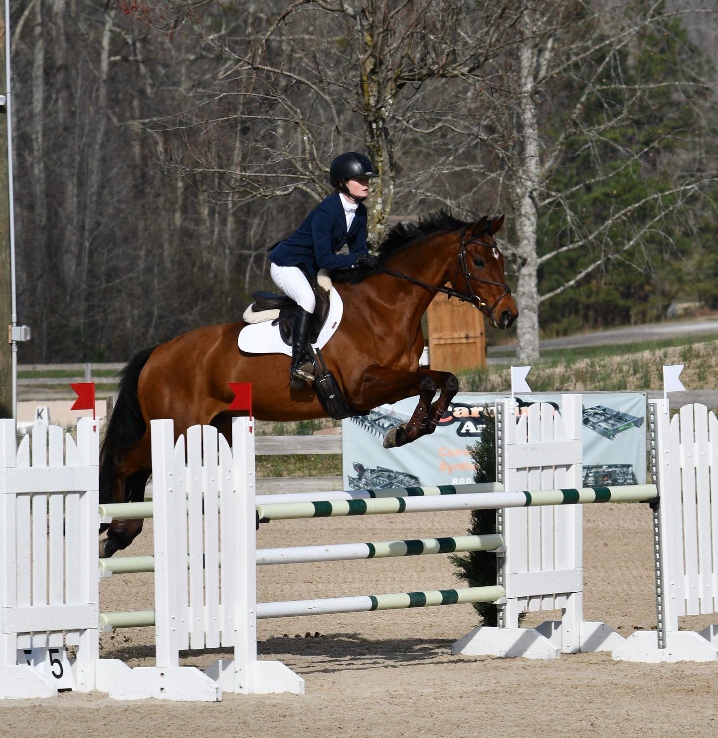 Cross country log jump