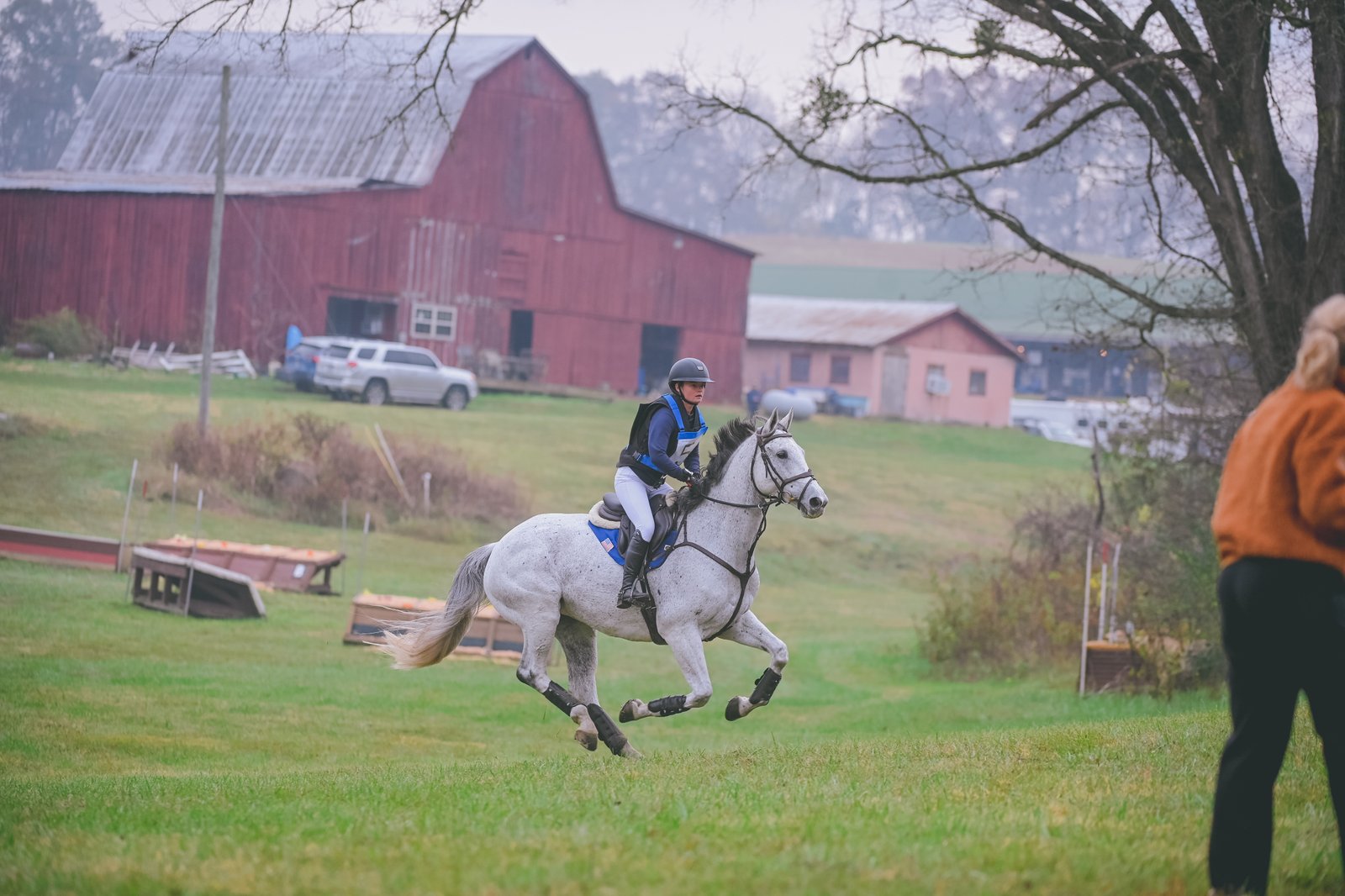 Show jumping flowers blue sky