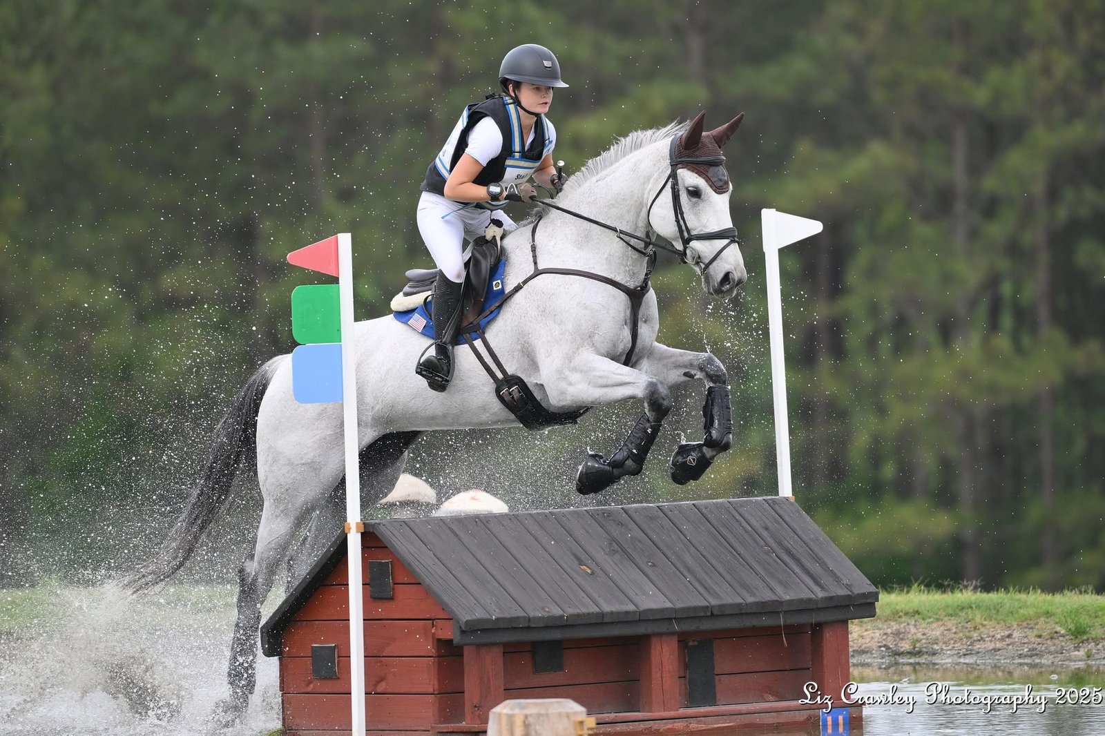 Cross country dark horse