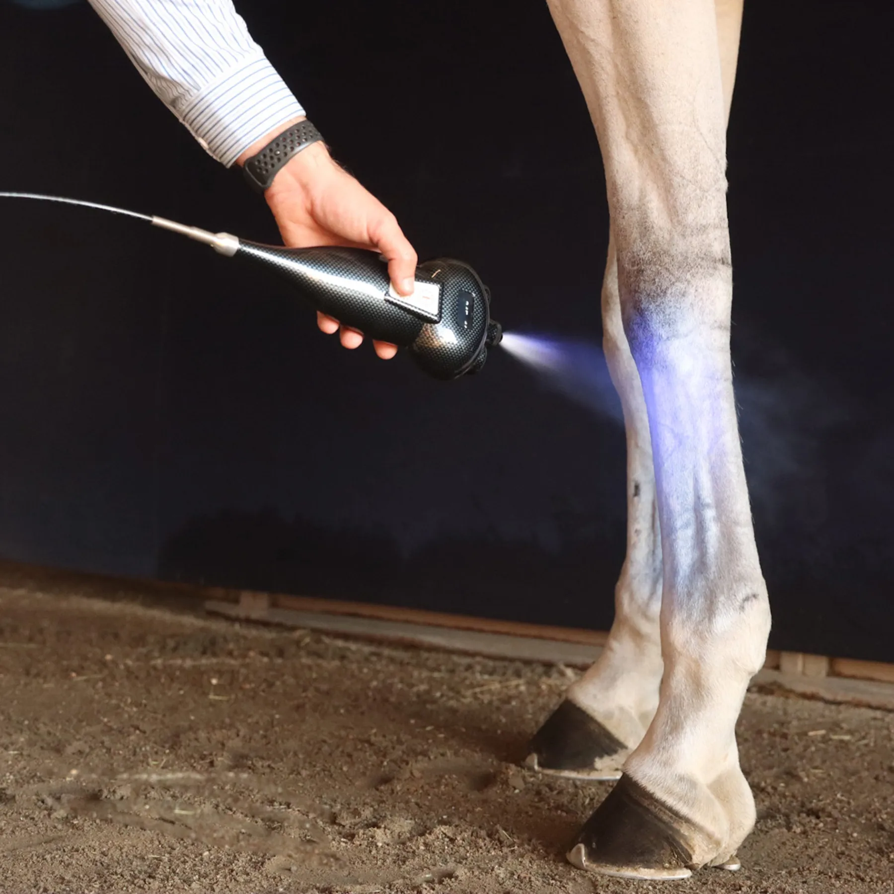 Cryotherapy equine recovery